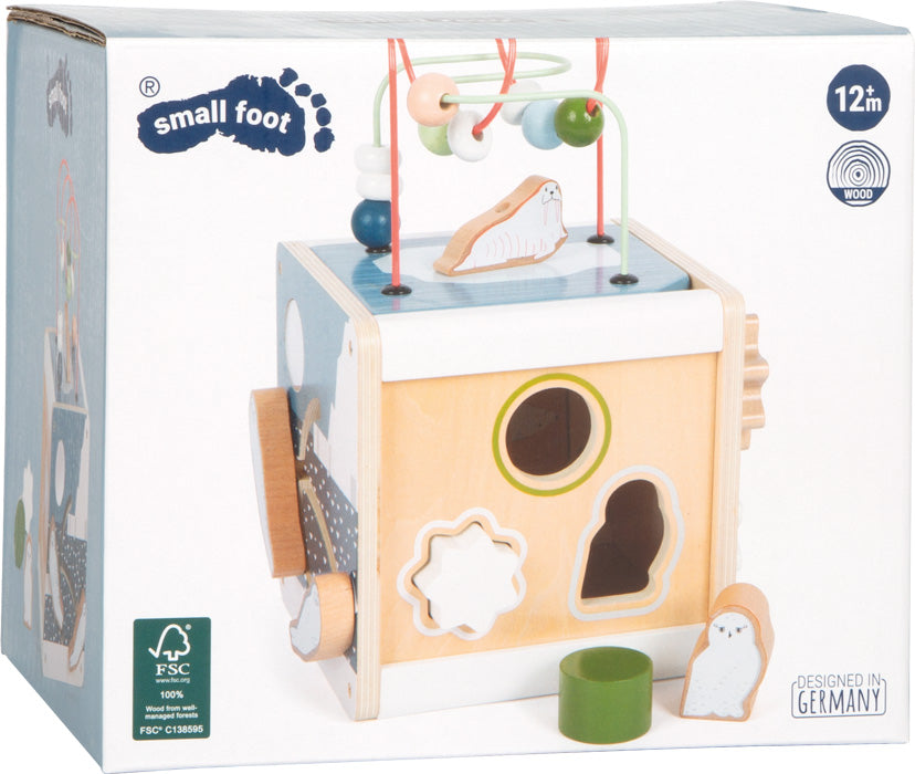 Cubo de actividades Arctic