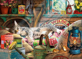 Puzzle "Snoozing in the Shed"