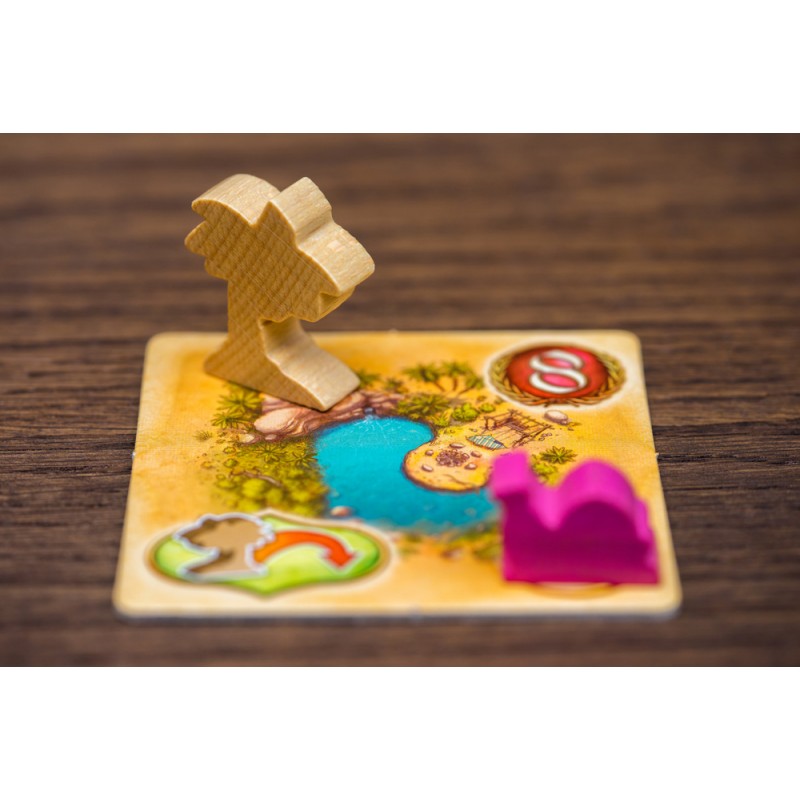 Five Tribes