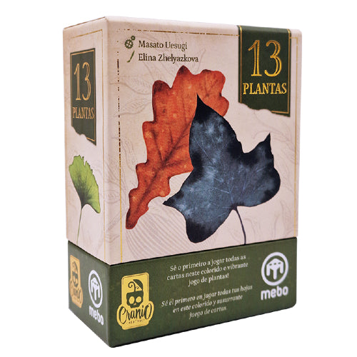 13 Plantas
