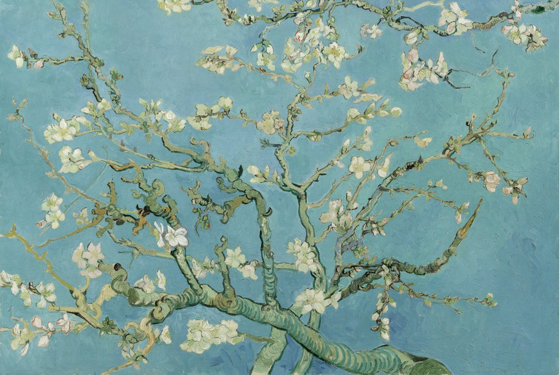 Puzzle van Gogh - Almond Blossoms