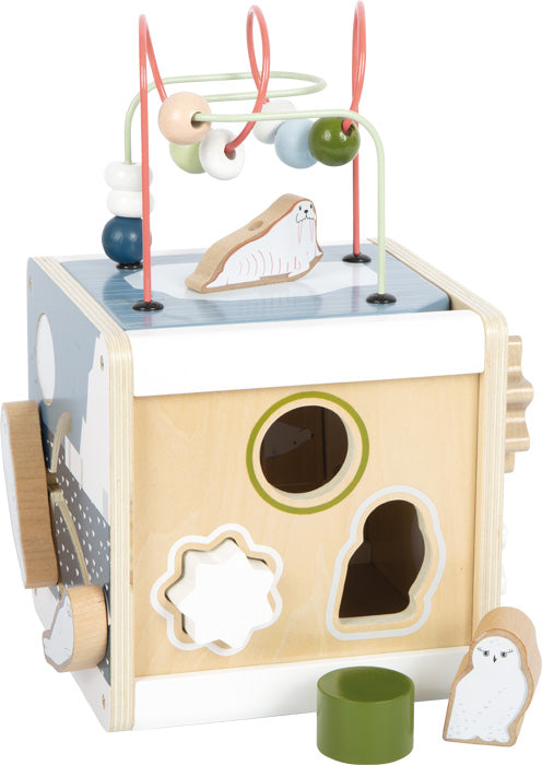 Cubo de actividades Arctic