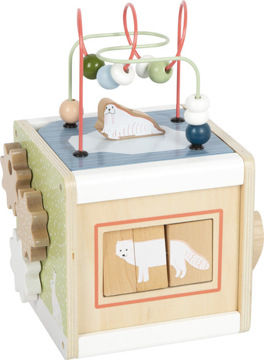 Cubo de actividades Arctic