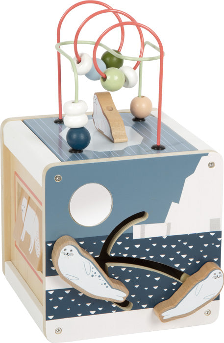 Cubo de actividades Arctic