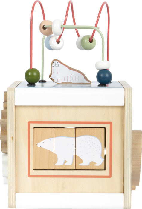 Cubo de actividades Arctic