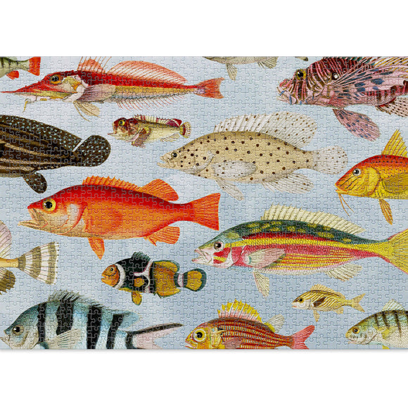Puzzle Aquatic