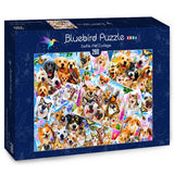 Puzzle "Selfie Pet Collage"